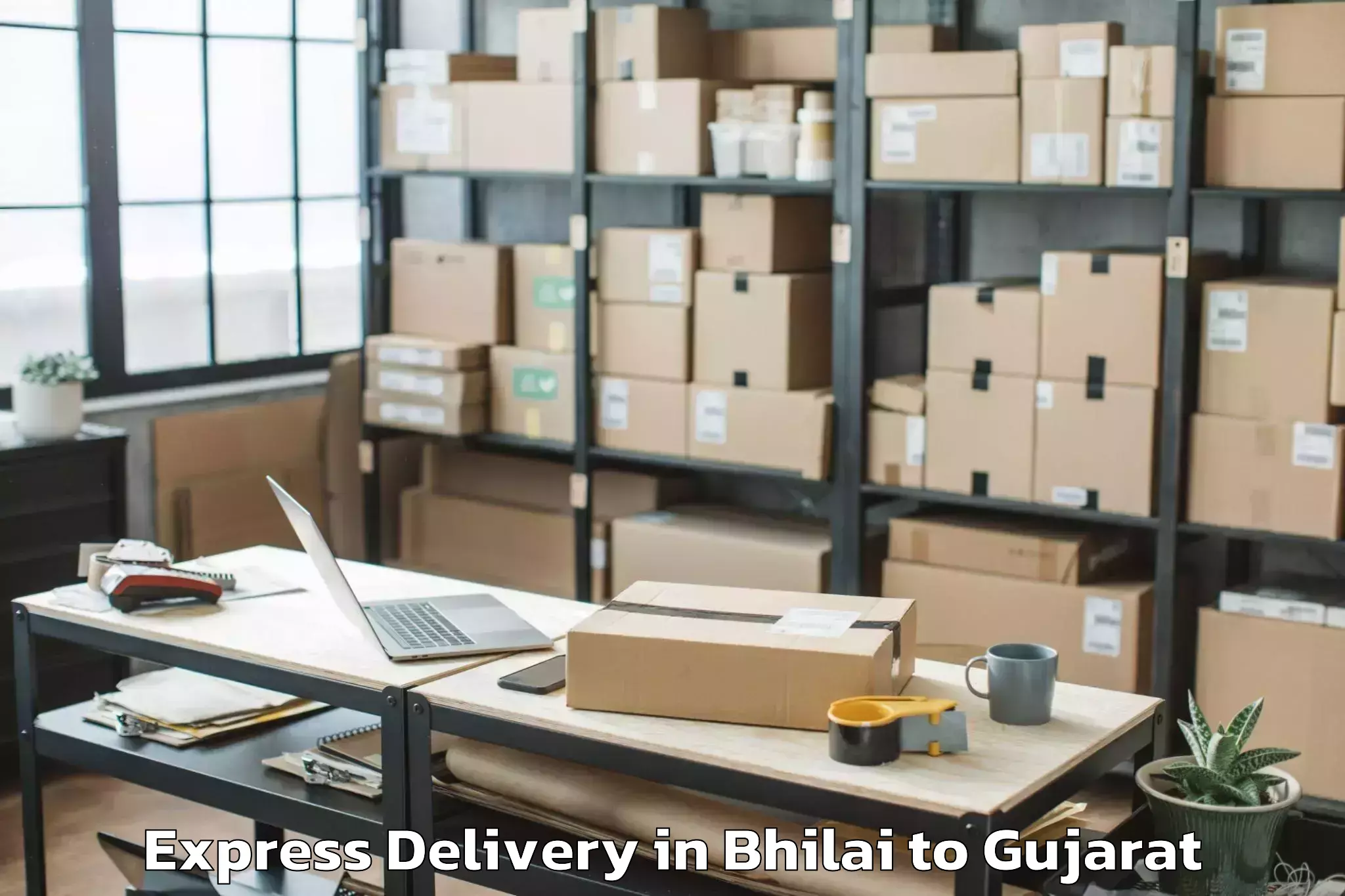 Quality Bhilai to Lunawada Express Delivery